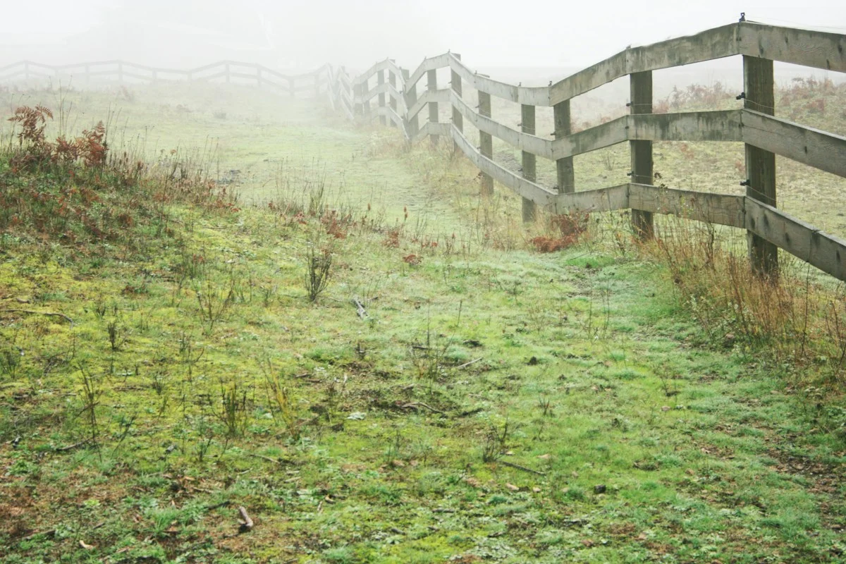 Wooden fence fading into the fog across a green meadow, a metaphor for personal boundaries